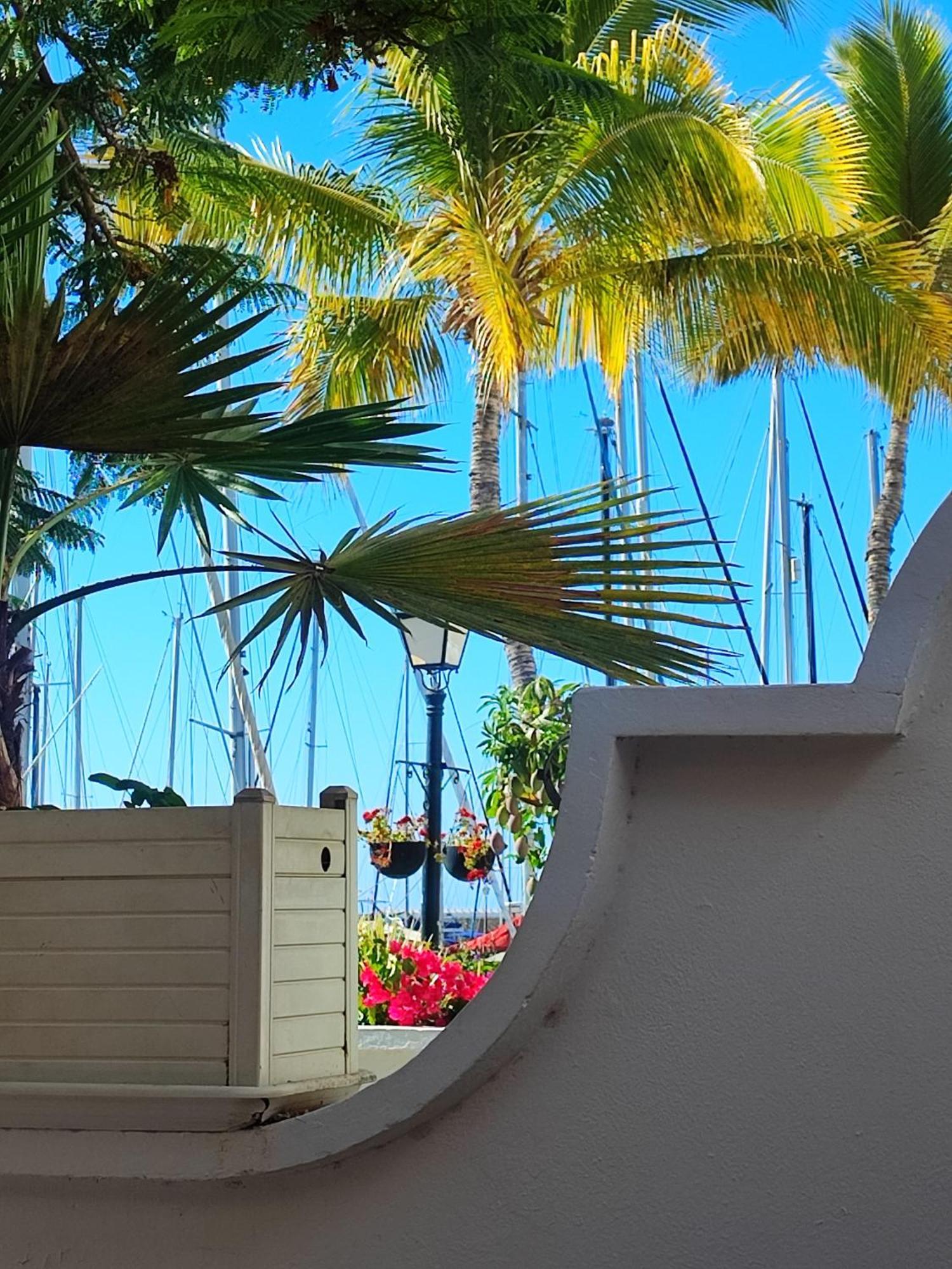 Canaima 306 プエルトリコ エクステリア 写真